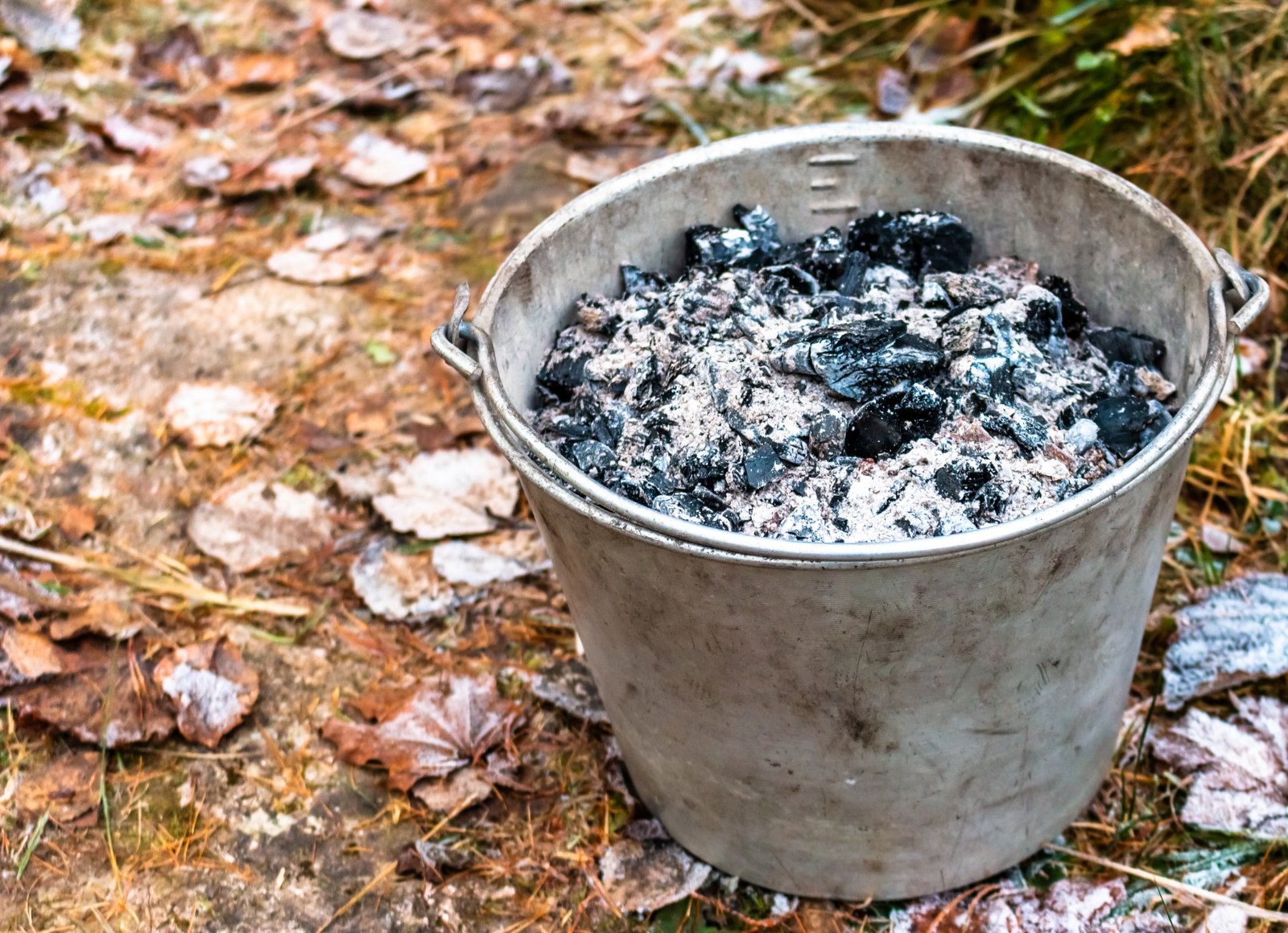 Is Wood Ash Good for Plants?