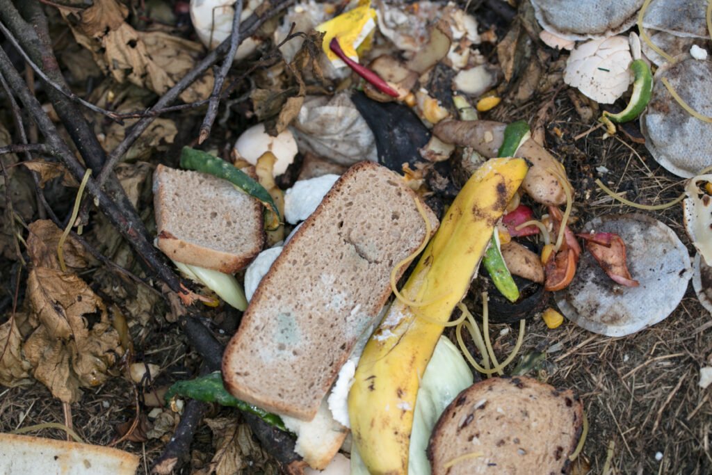 A Pile Of Organic Food Waste