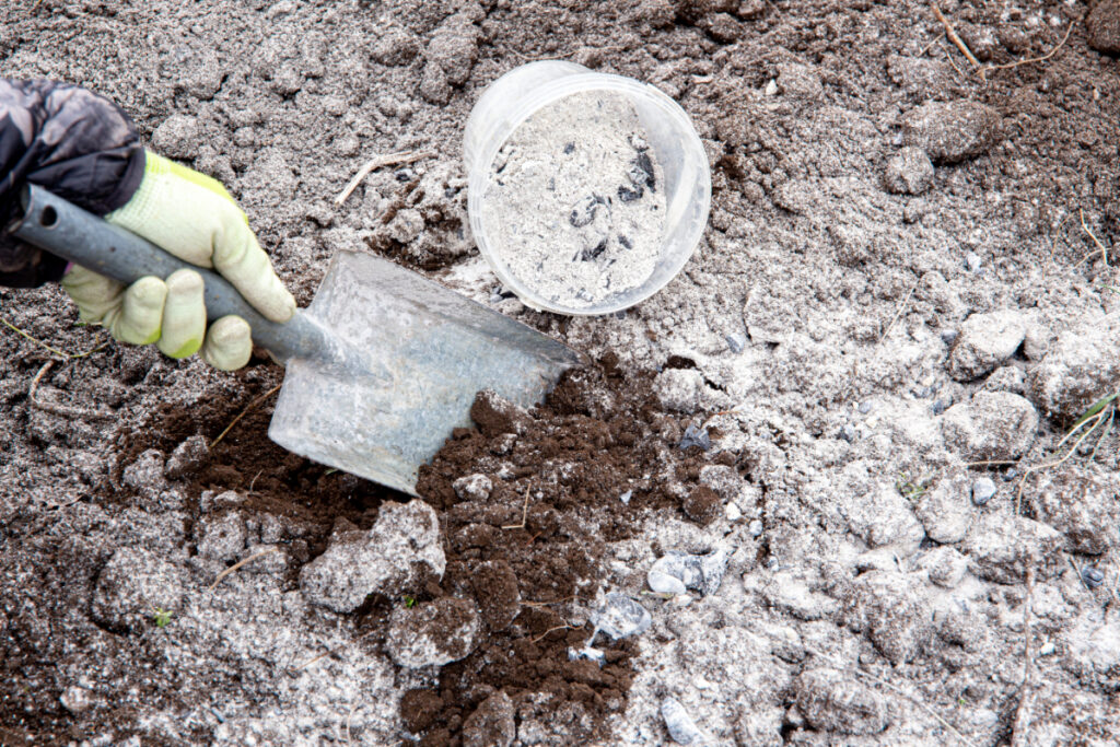 How To Compost Wood Ashes Methods Benefits More 