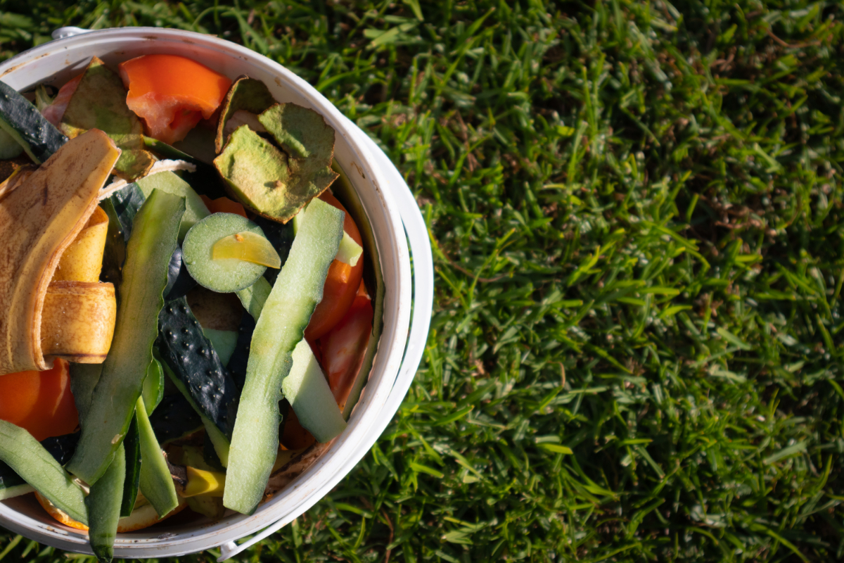 Composting Tomatoes (2 Best Methods & Tips)