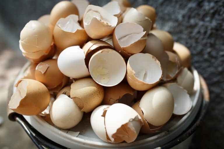 Compost Eggshells