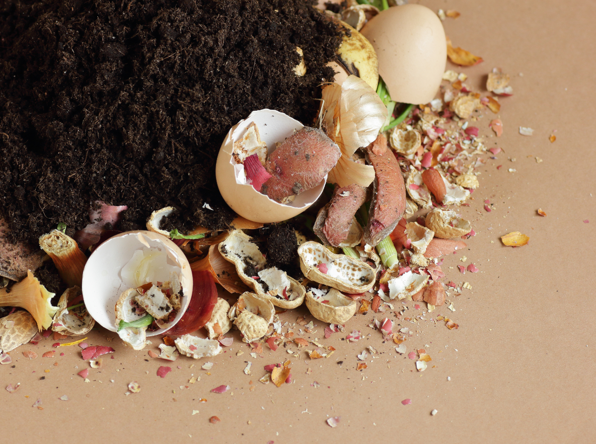 How to Compost Eggshells? (And Why Should You Do it?)
