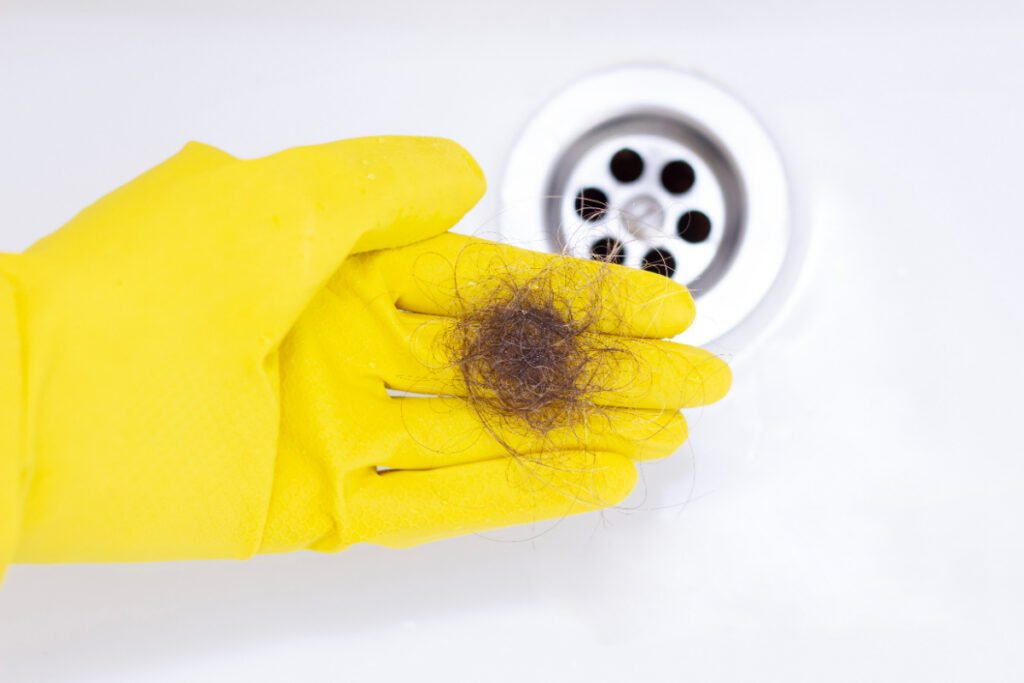 Fallen Hair Collected After Cleaning Bathroom Drain