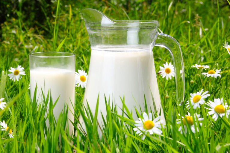 Using Milk for Plants