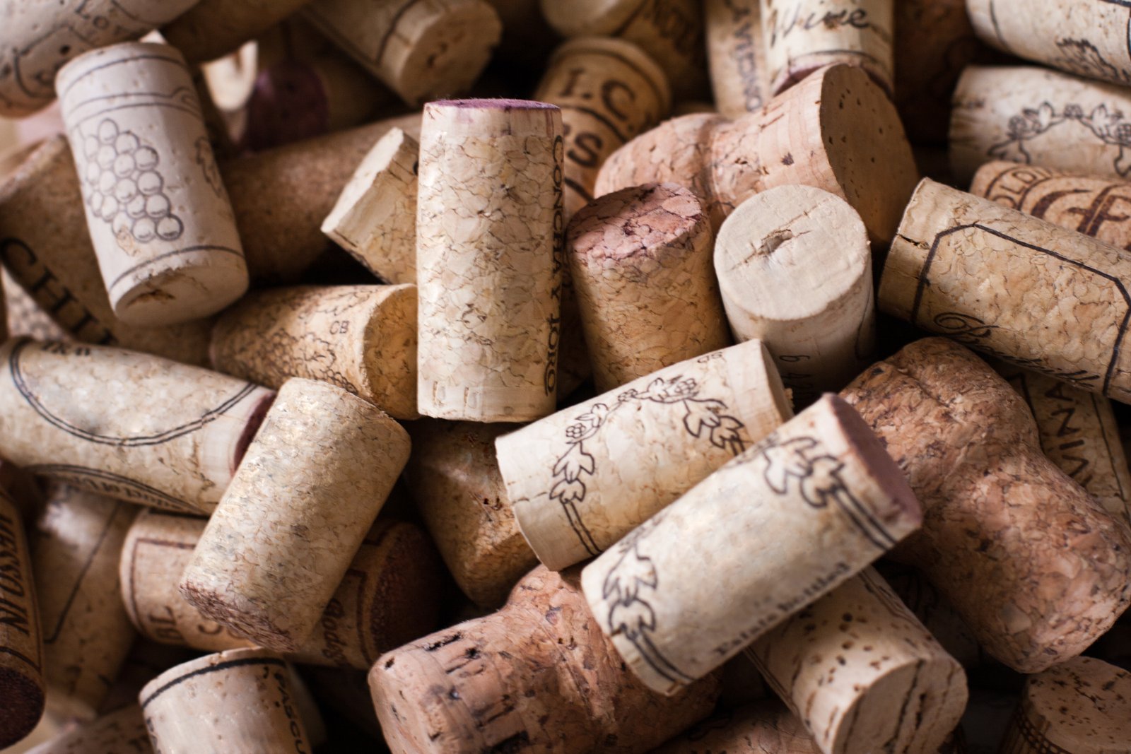 How Can You Compost Wine Corks Complete Guide   Wine Corks 