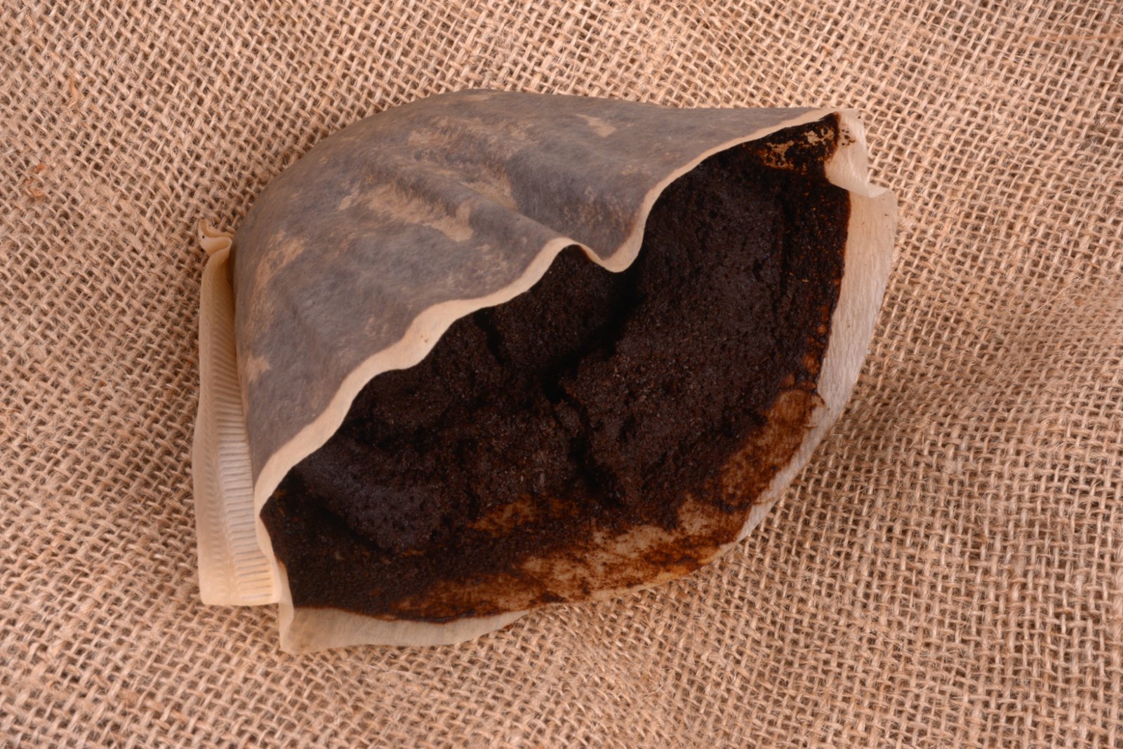 How long till coffee filters are indistinguishable? : r/composting